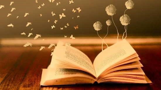 زبان پارسی در ایینۀ نگارش…